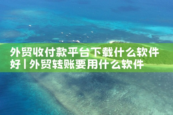 外贸收付款平台下载什么软件好