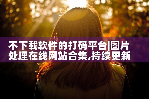 不下载软件的打码平台