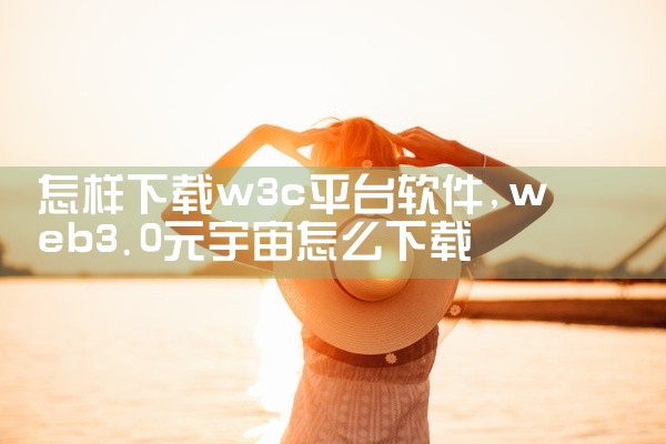 怎样下载w3c平台软件