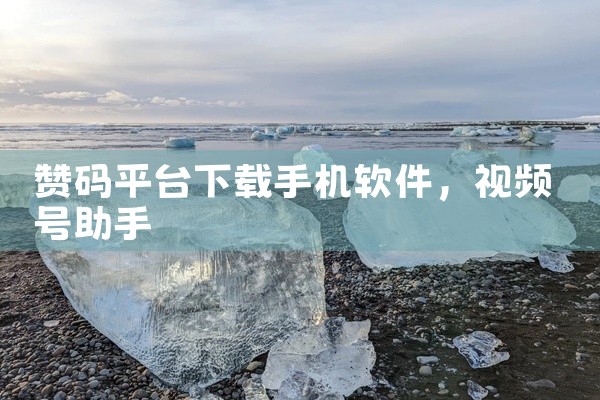 赞码平台下载手机软件