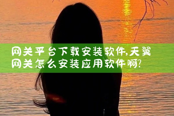 网关平台下载安装软件
