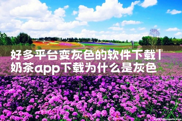 好多平台变灰色的软件下载