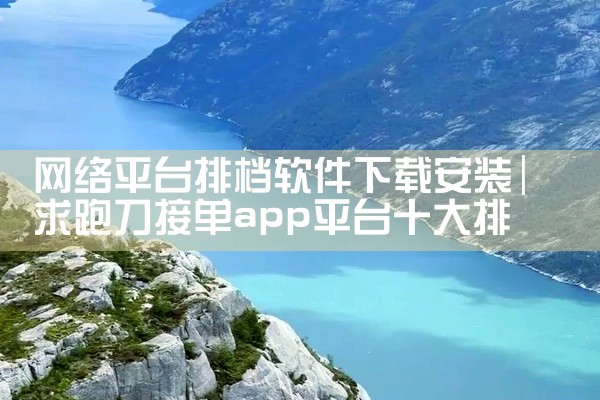 网络平台排档软件下载安装