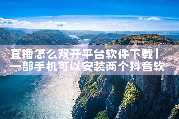 直播怎么双开平台软件下载