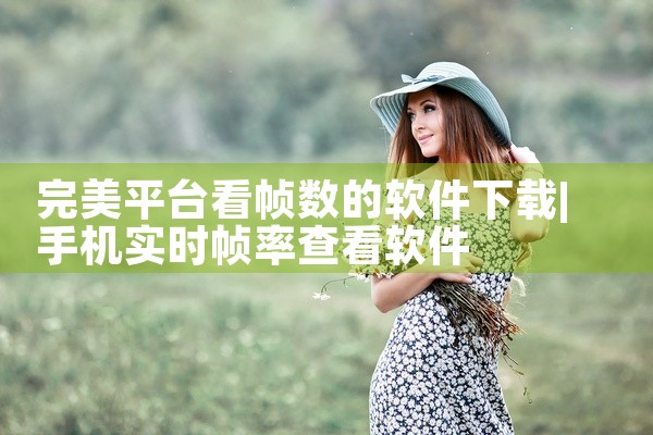 完美平台看帧数的软件下载